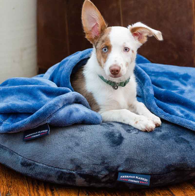 towels made in the usa and pet bedding too